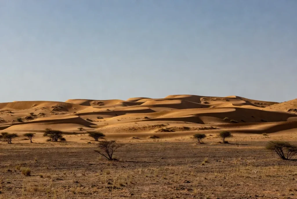 thar desert rajasthan
