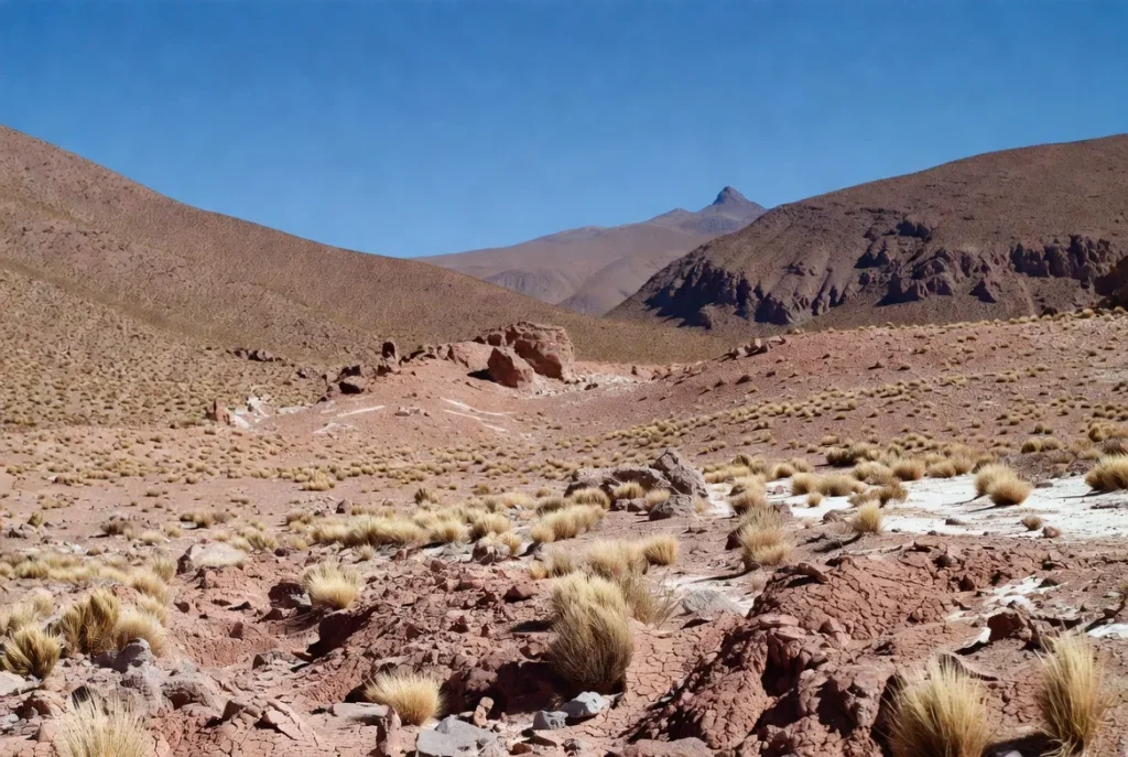 atacama desert region