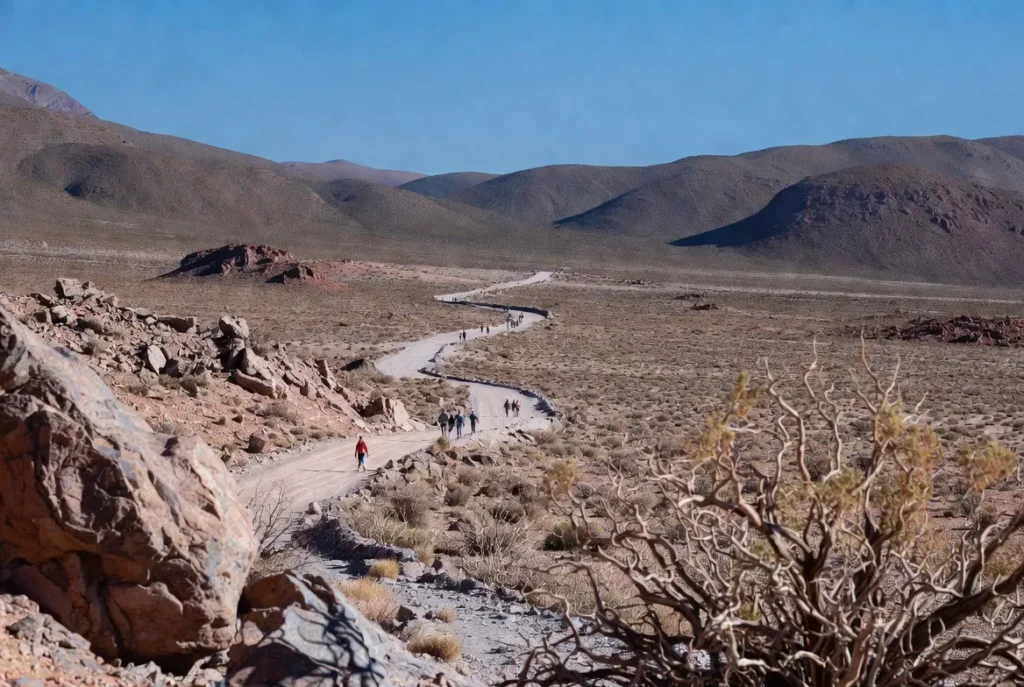 atacama desert tours