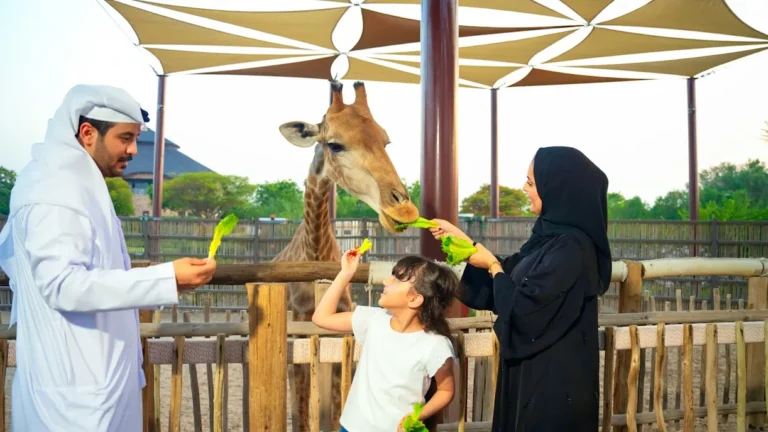 Dubai Safari Park Timings