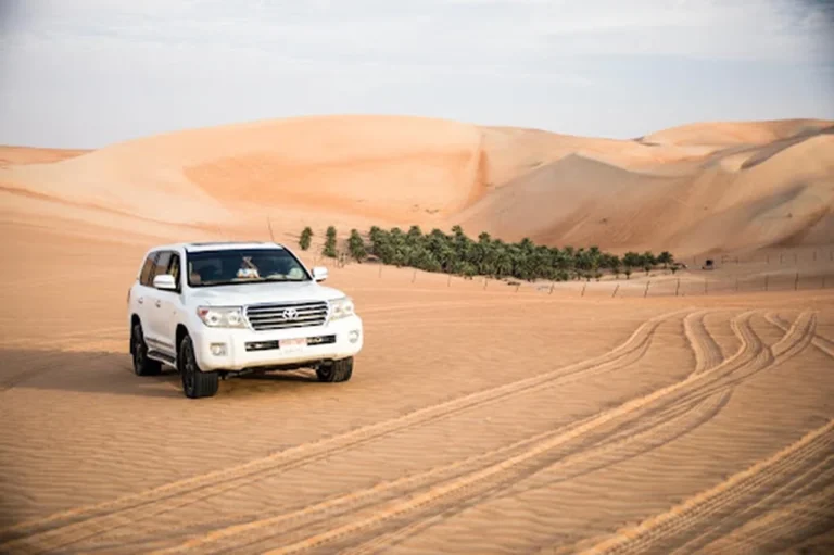 Liwa Desert Safari