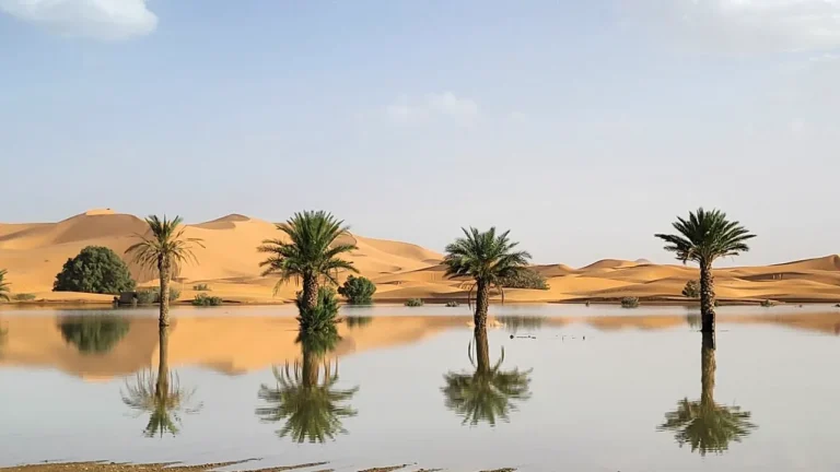 Sahara Desert Flooded