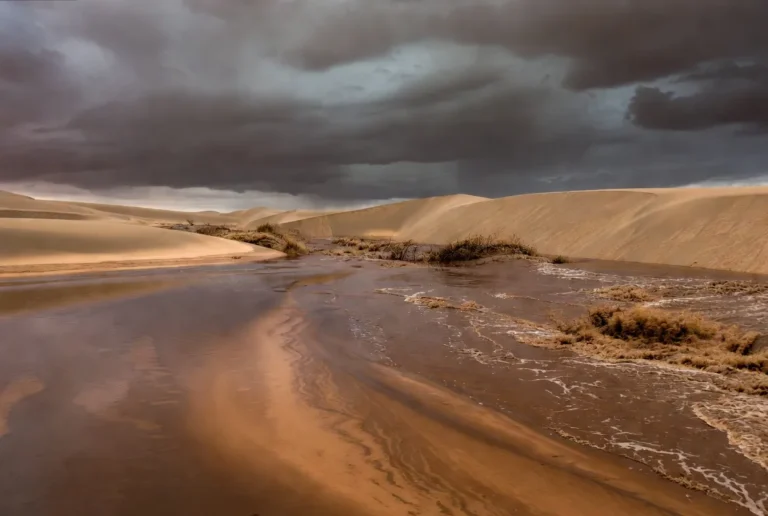 Sahara desert flooding bible