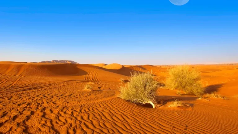 Where is sahara desert