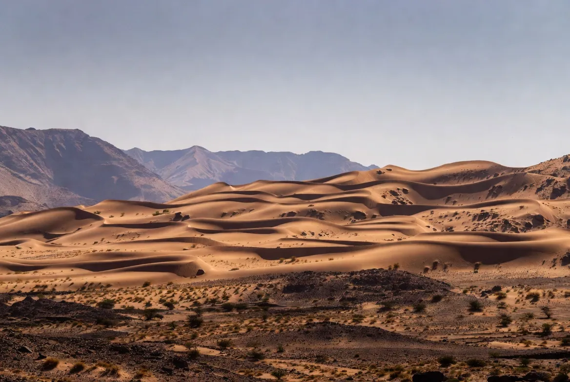 Great indian desert location