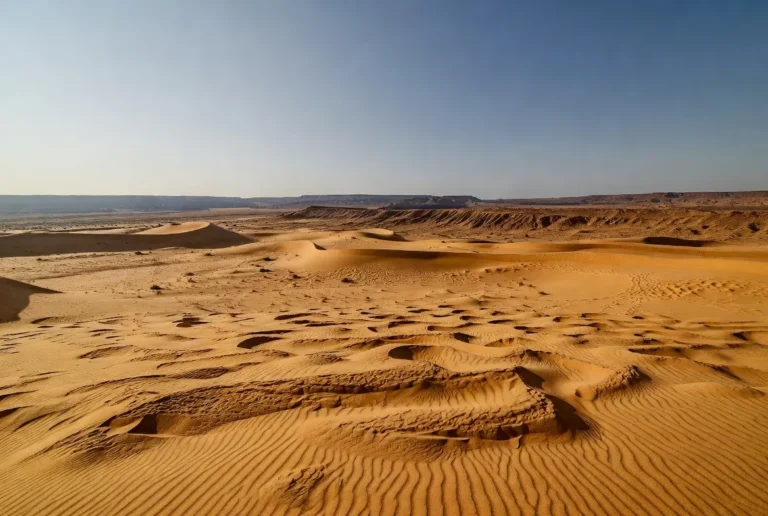 India largest desert