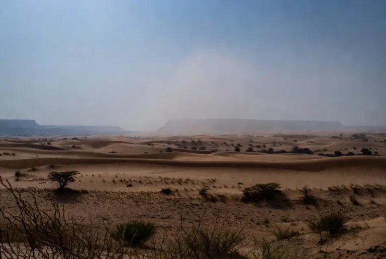 thar desert rajasthan