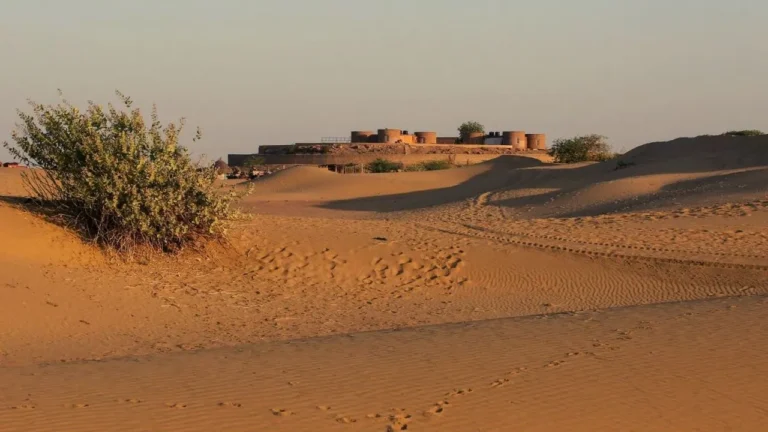 thar in rajasthan