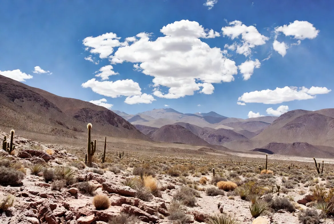 where is the atacama desert