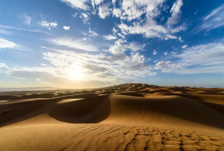 arabian desert