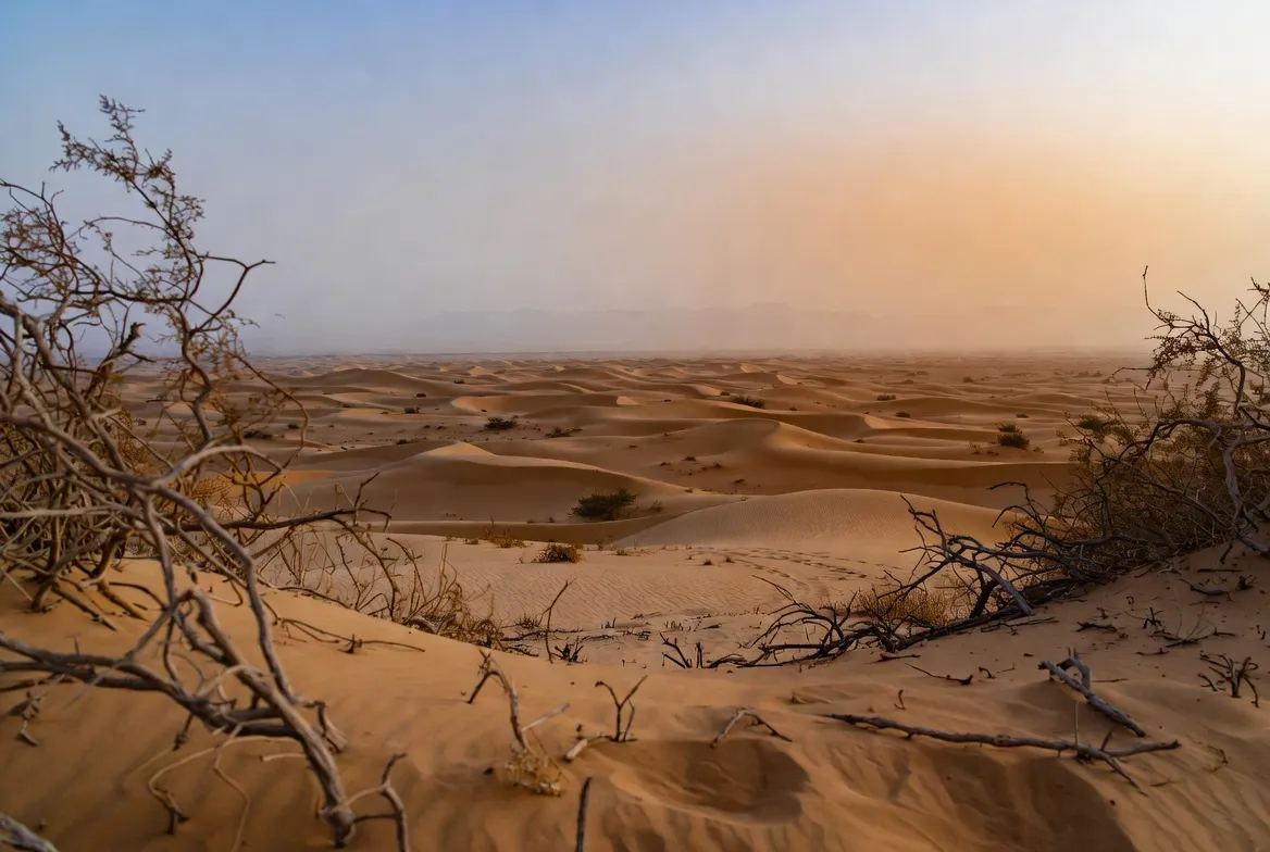 desert arabie
