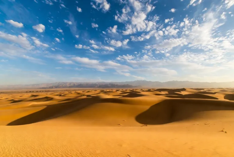 desert arabian peninsula
