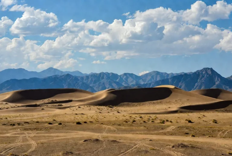 gobi desert mongolian