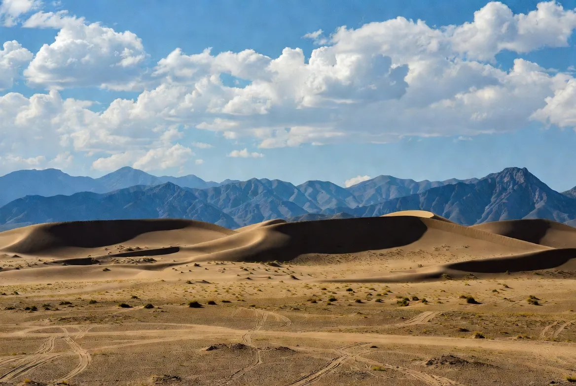 gobi desert mongolian