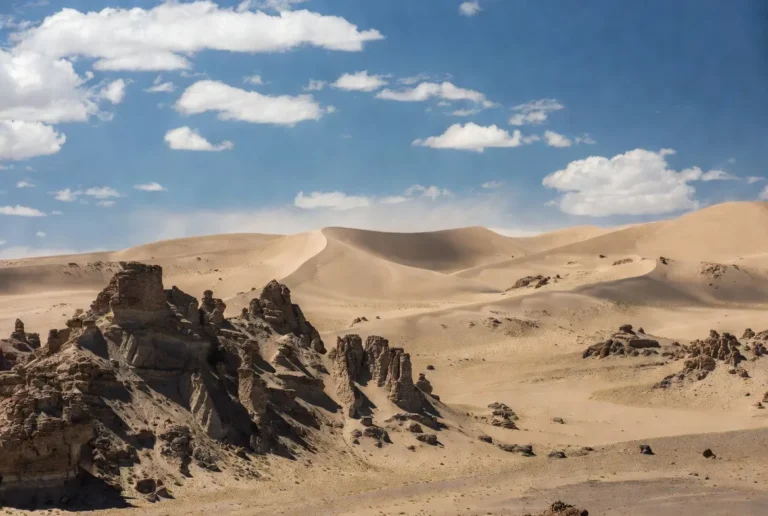 mongolian desert gobi