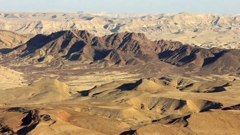 Negev Desert