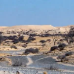 where is the kalahari desert