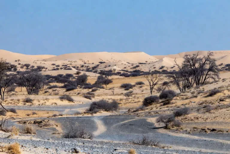 where is the kalahari desert