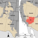 where is the mojave desert located