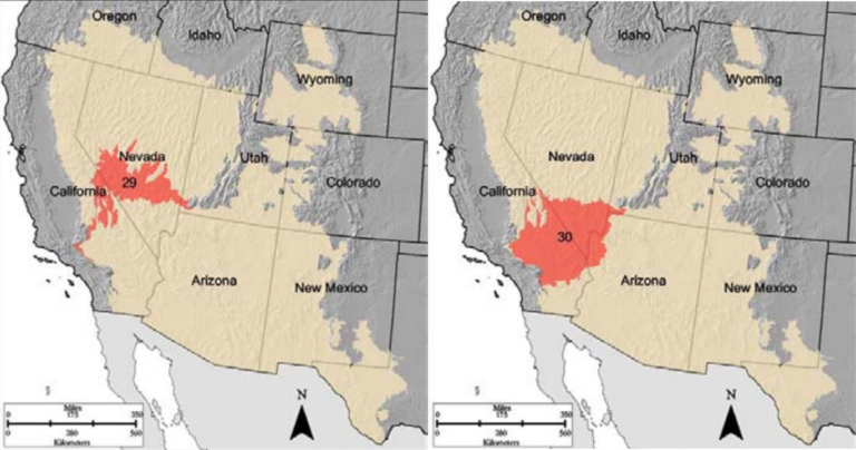 where is the mojave desert located