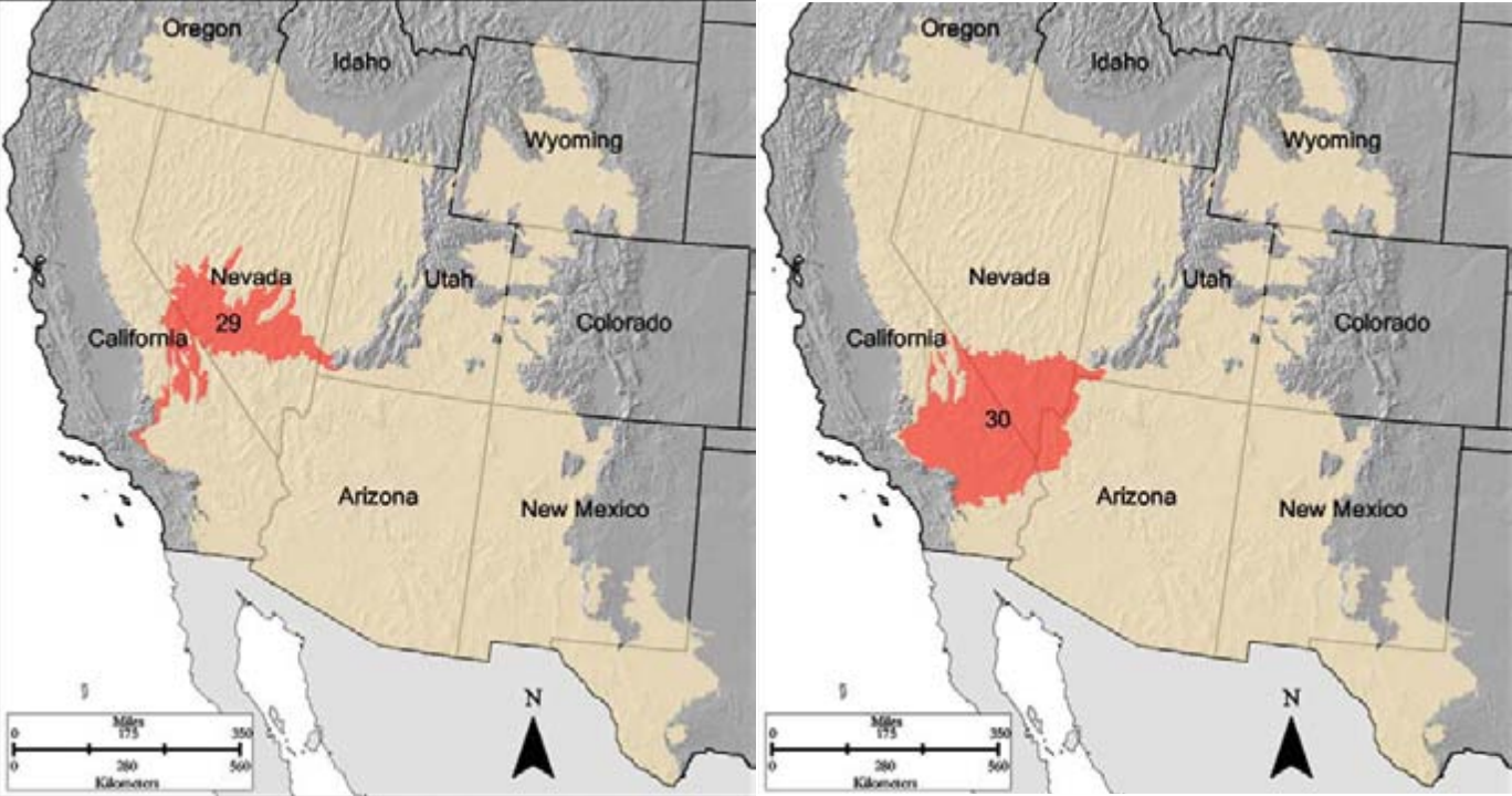 where is the mojave desert located