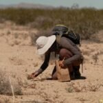 mojave desert deserts