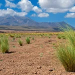 desert where is it located