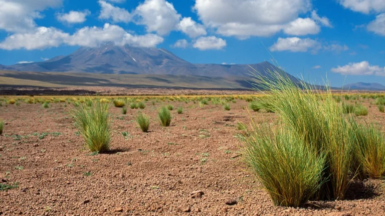 desert where is it located