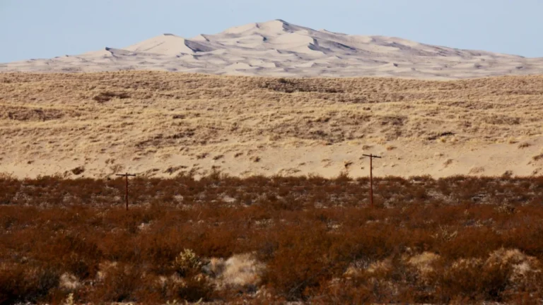 where is the mojave desert