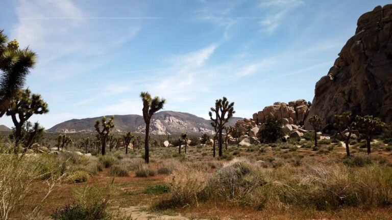 california is desert
