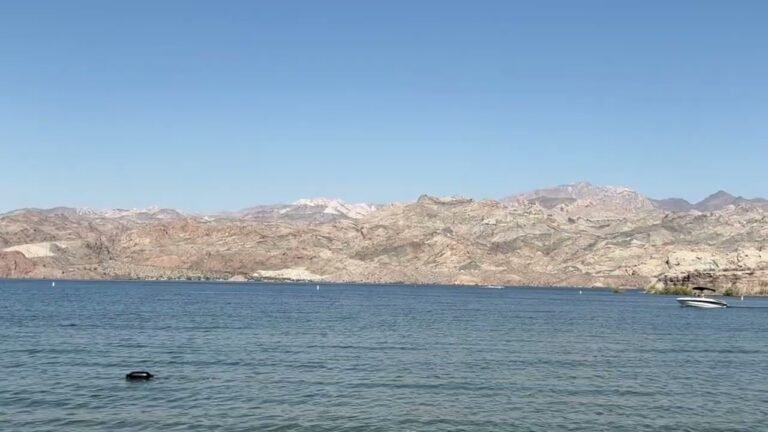 mohave