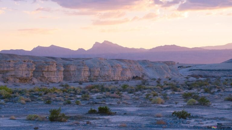 nevada desert