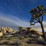 the mojave desert