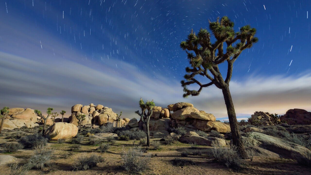 the mojave desert
