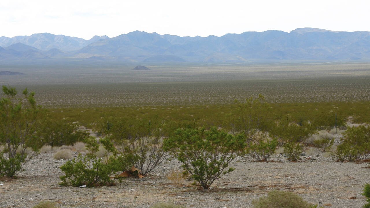 mojave dessert