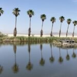 mojave park