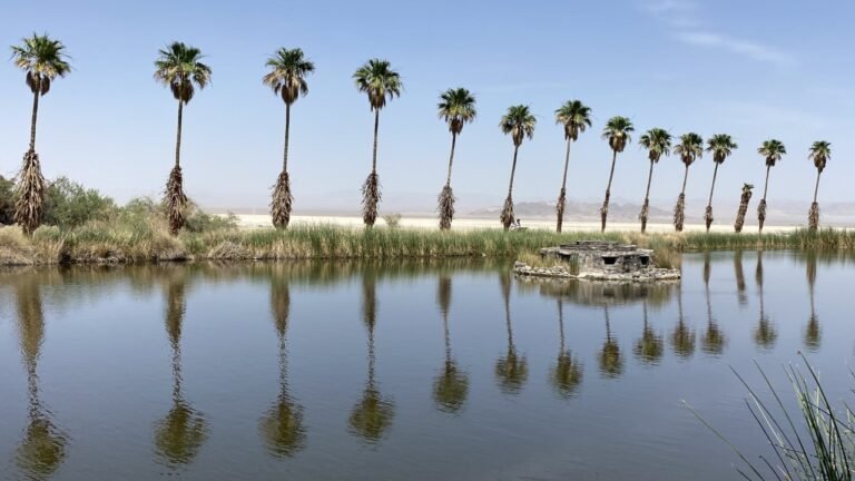 mojave park