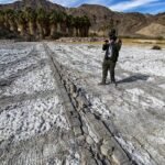 mojave trails national monument
