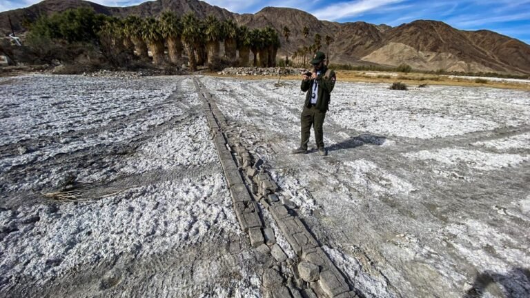 mojave trails national monument