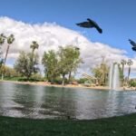 civic center park palm desert ca