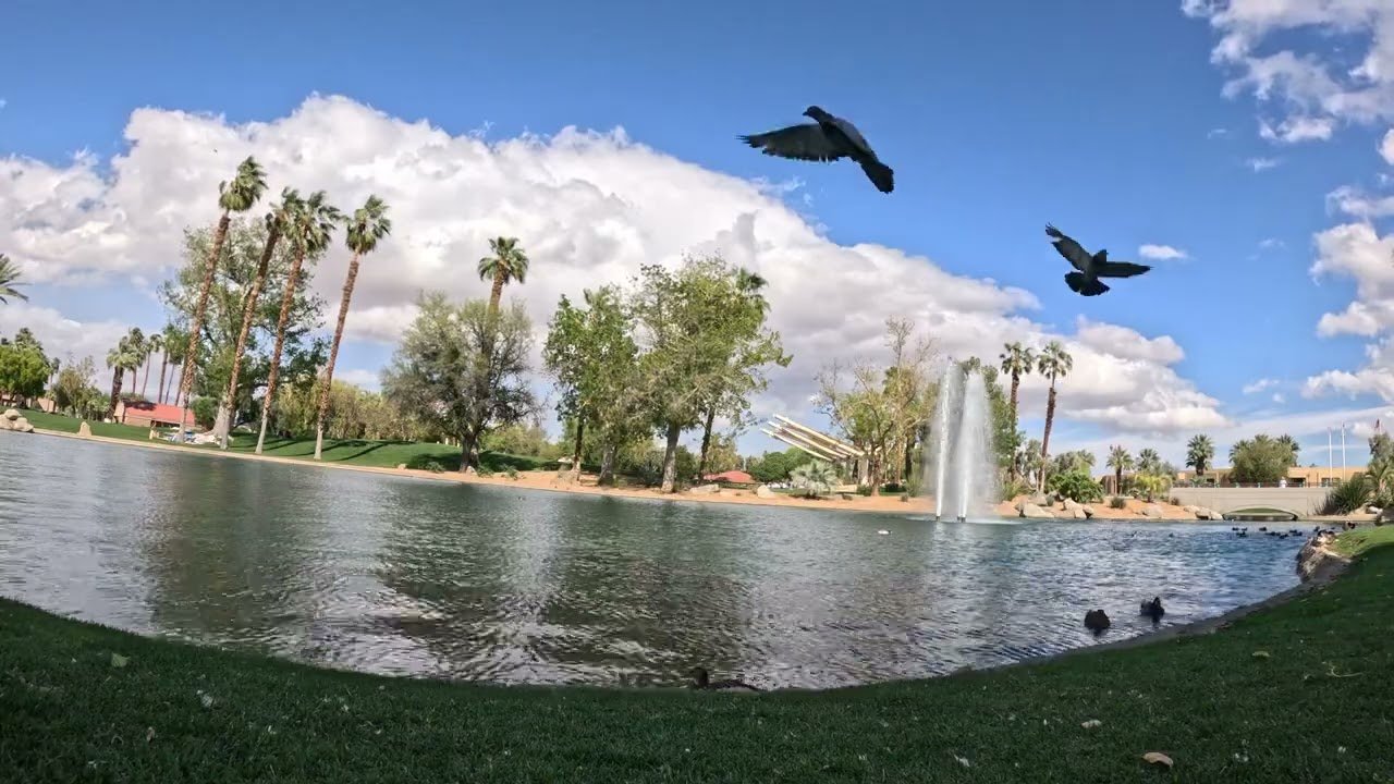 civic center park palm desert ca